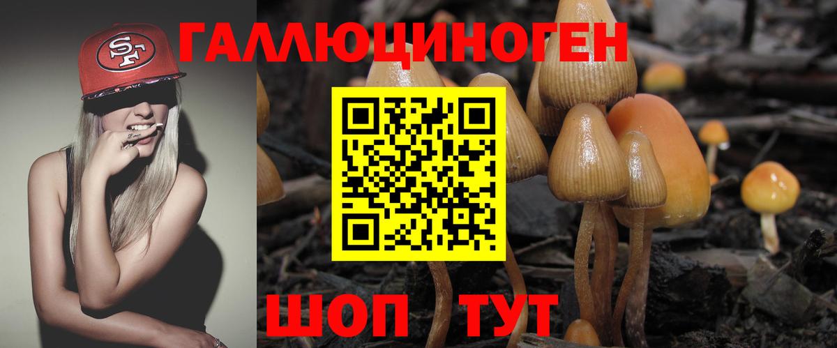 Псилоцибиновые грибы GOLDEN TEACHER  Галлюциногенные грибы ЛСД  Еманжелинск  Вход с VPN 